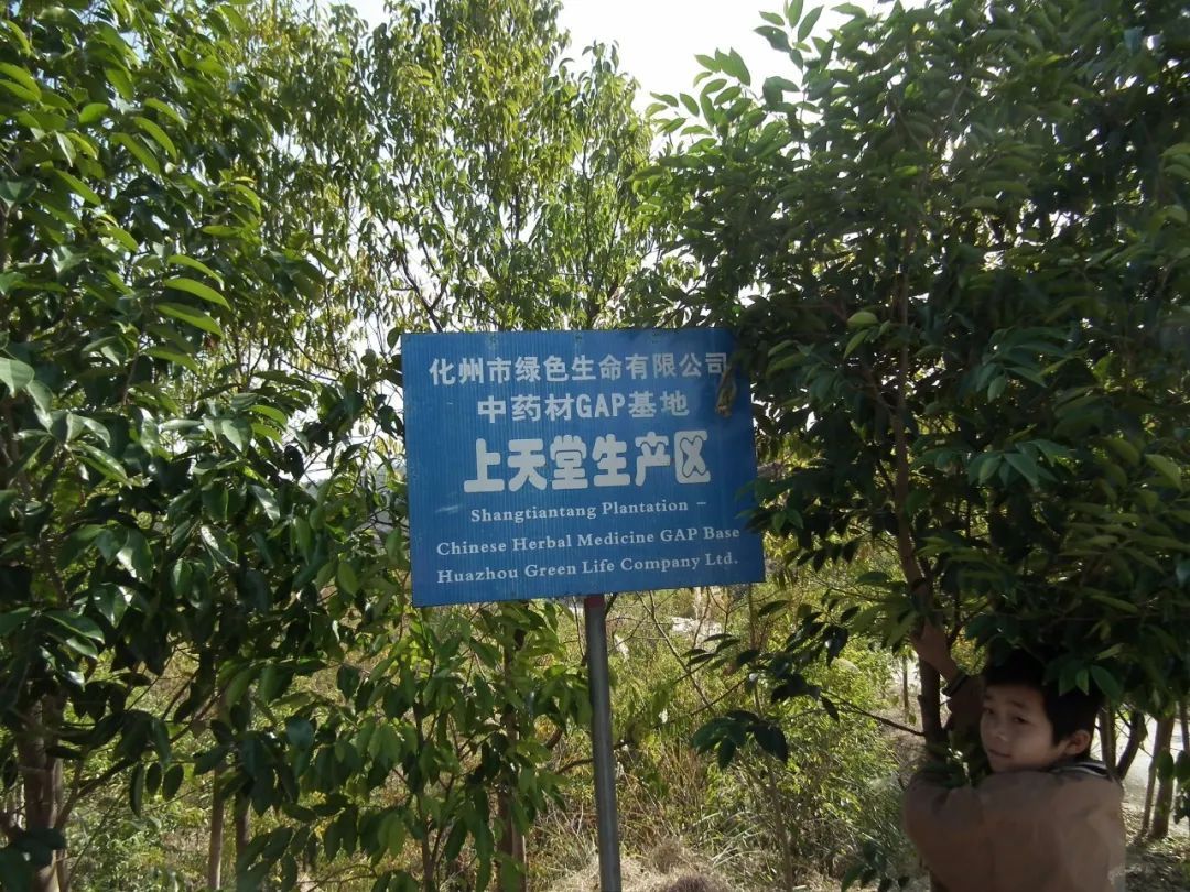 |天堂村——人间的天堂 热烈欢迎你的到来