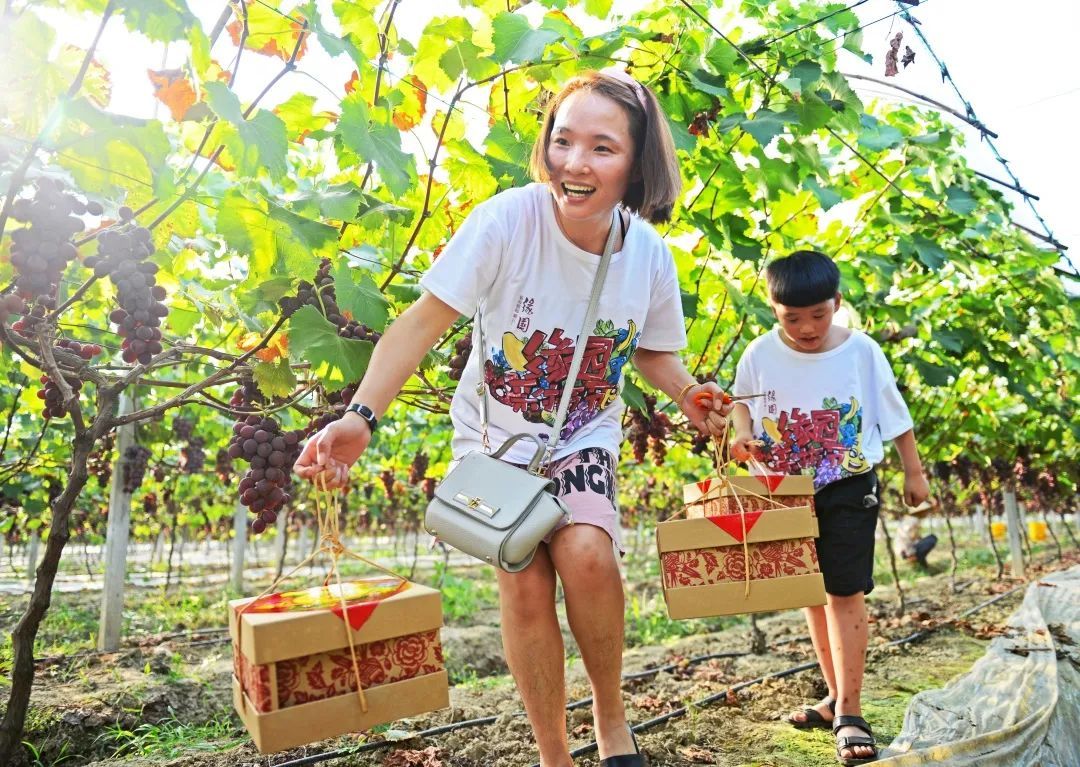 桐乡|假期去哪玩?桐乡这条旅游线路向全国推介!