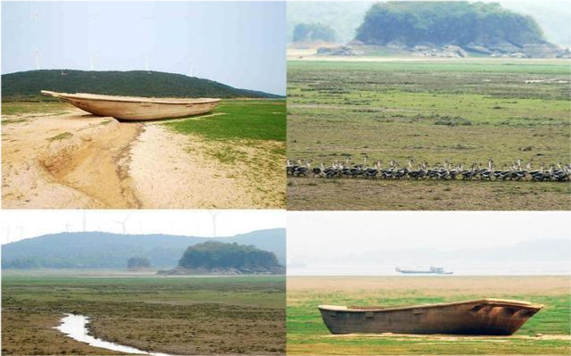 池塘|很多河流和湖泊水量越来越少，甚至干涸了，主要原因是什么？