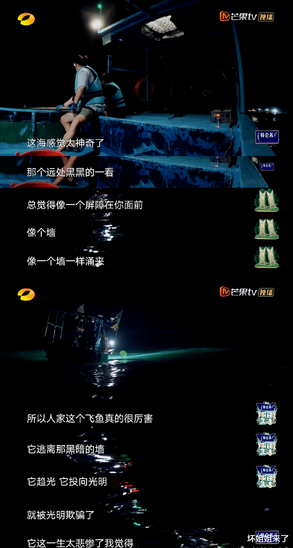 许知远|许知远拯救了「翻车」的何炅和黄磊