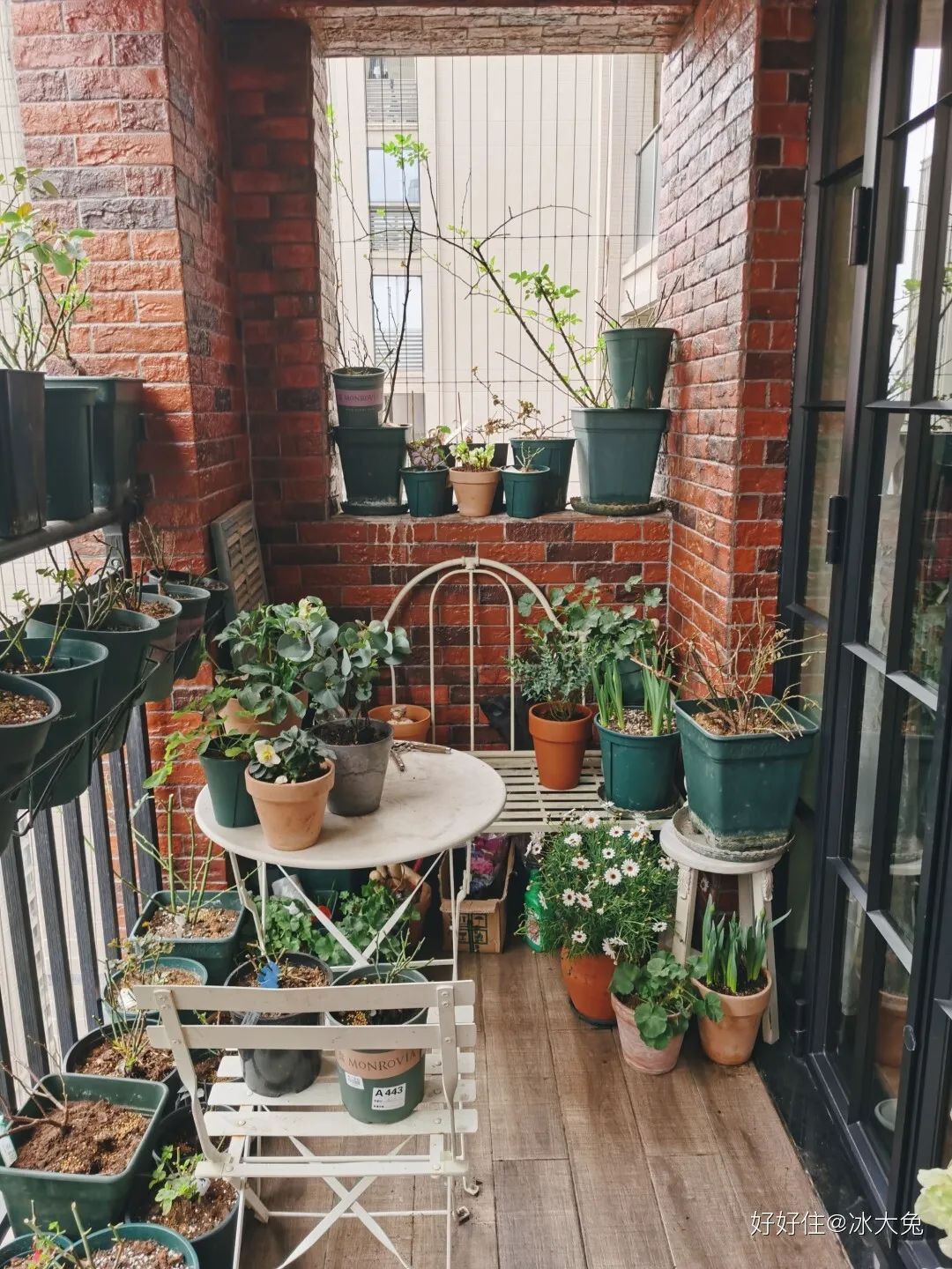 看完她家，我把双阳台列入刚需了