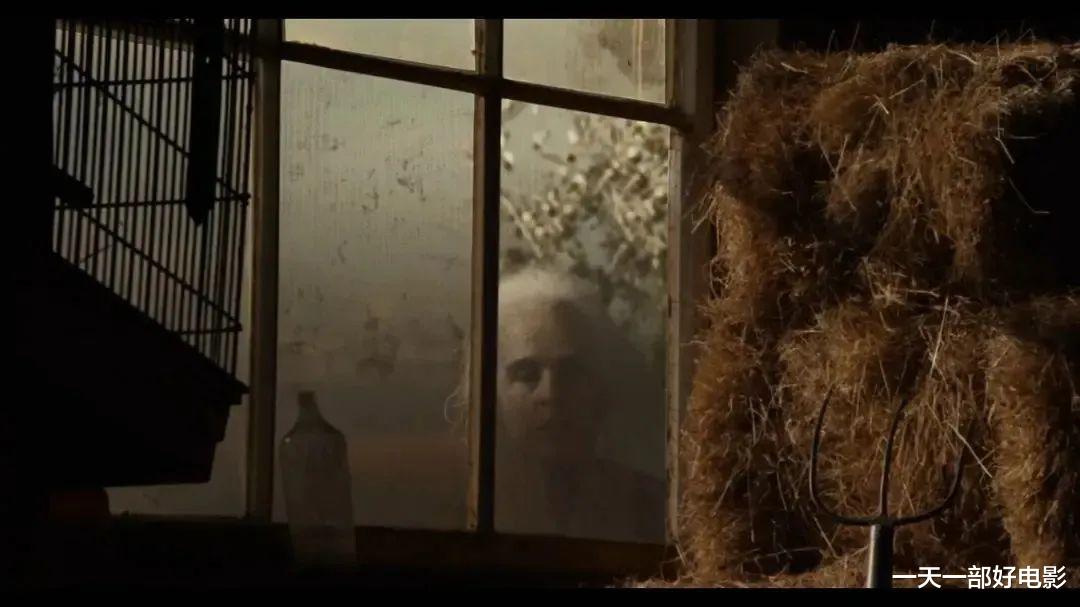 玻尔|尺度Cult片的前传来啦,更加Cult癫狂《玻尔》