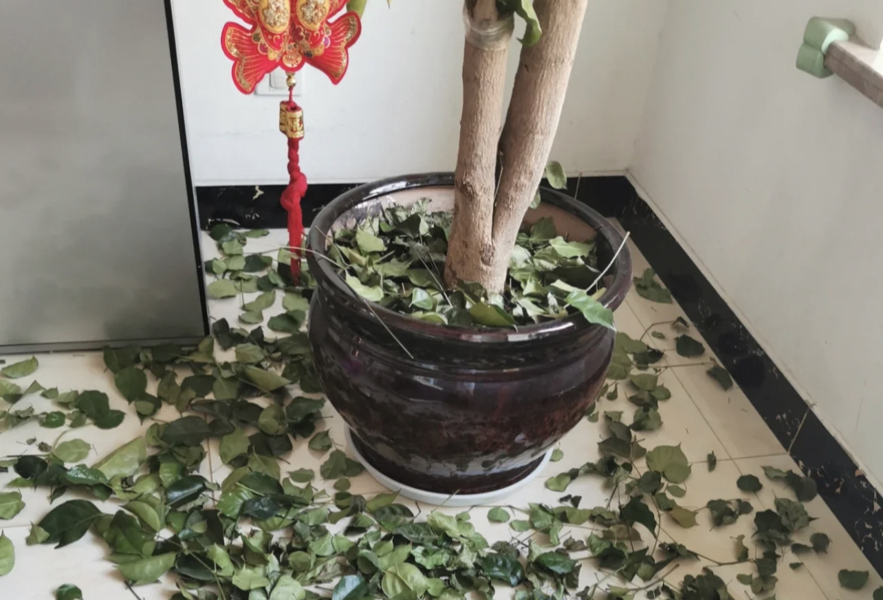 针对这些卫生死角,以前真不该“躺平”!