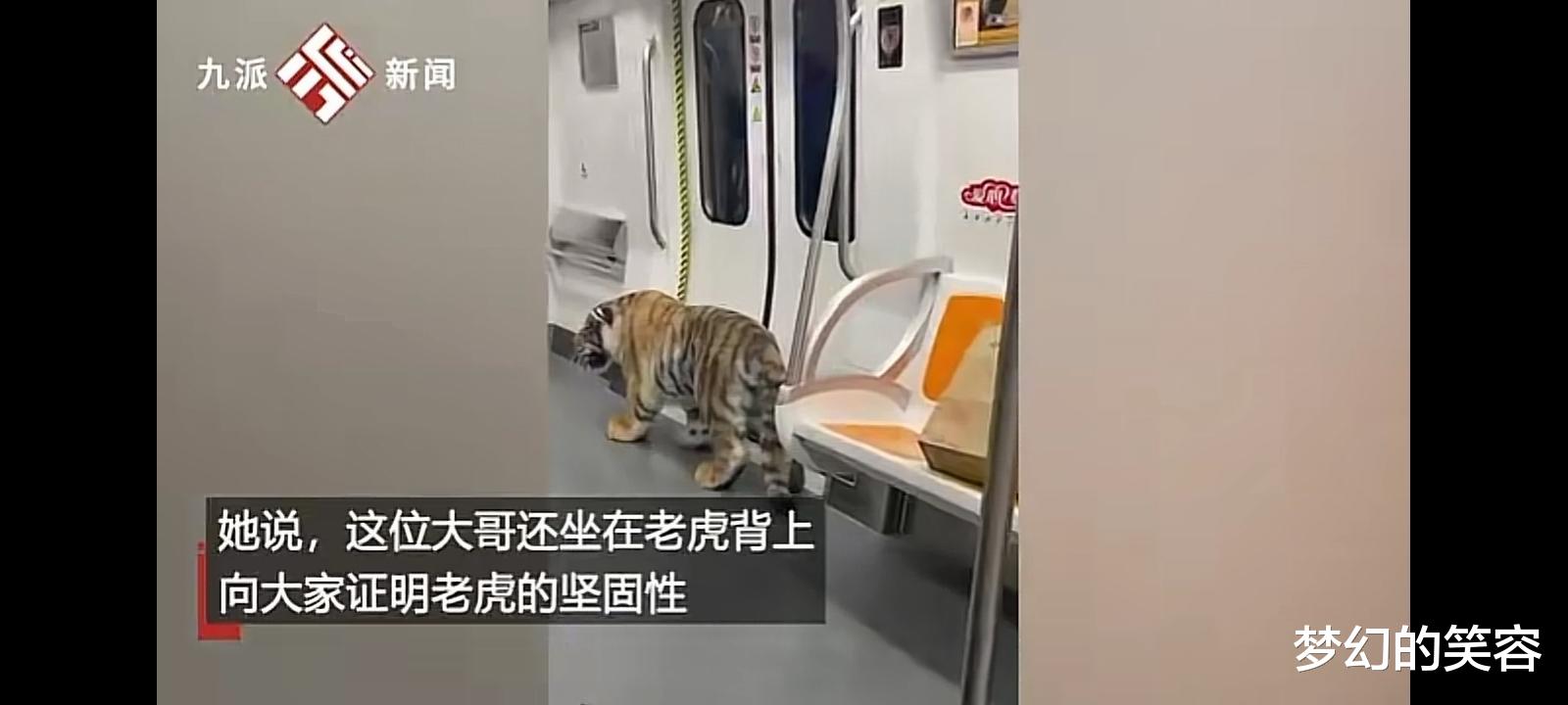 山东济南:男子竟然骑着“老虎”坐地铁,把其他乘客吓懵