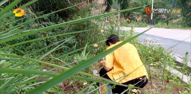 中餐厅第六季|《中餐厅》第六季带火拍摄地，门票80元却遭吐槽：绿化还没小区好