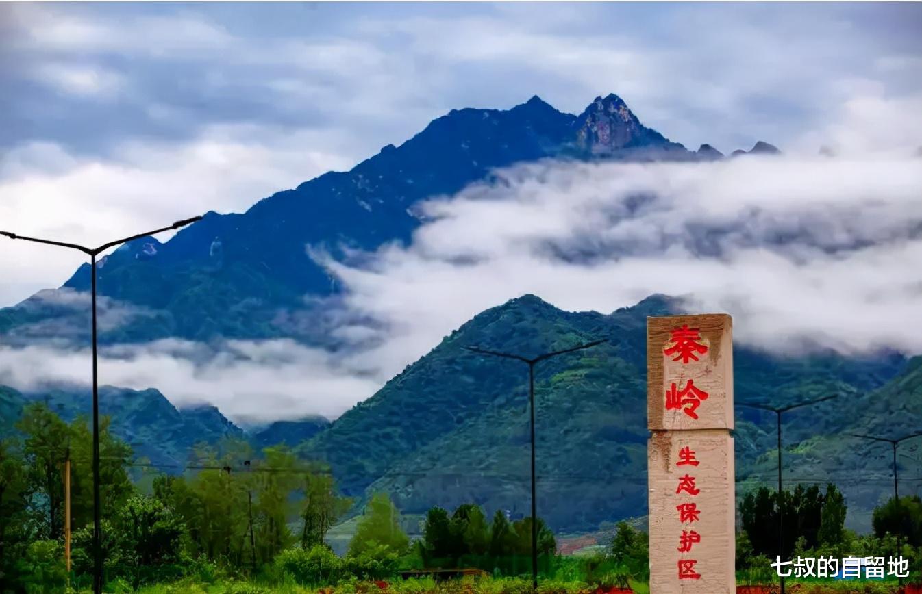 秦岭的蛇到底有多大?真的存在盘山巨蟒吗?
