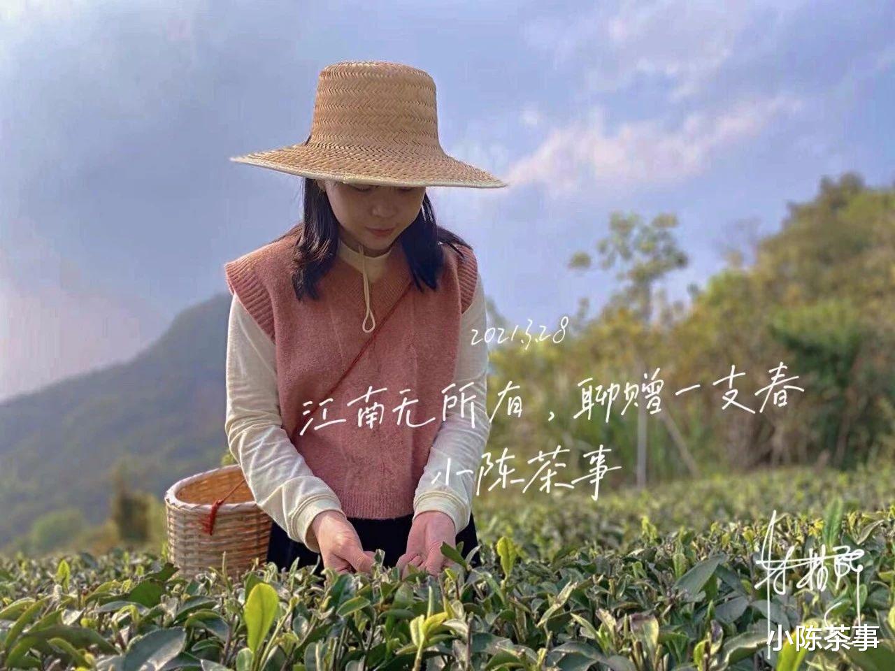 从西湖龙井、武夷岩茶，到信阳毛尖、白茶，台地茶究竟好不好呢？