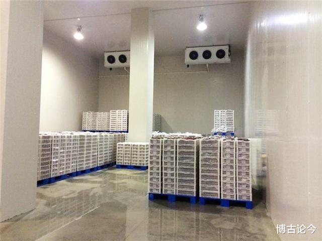 徐云丽|南长城徐云丽近况：退役成老师，34岁仍单身，被郎平催促找另一半
