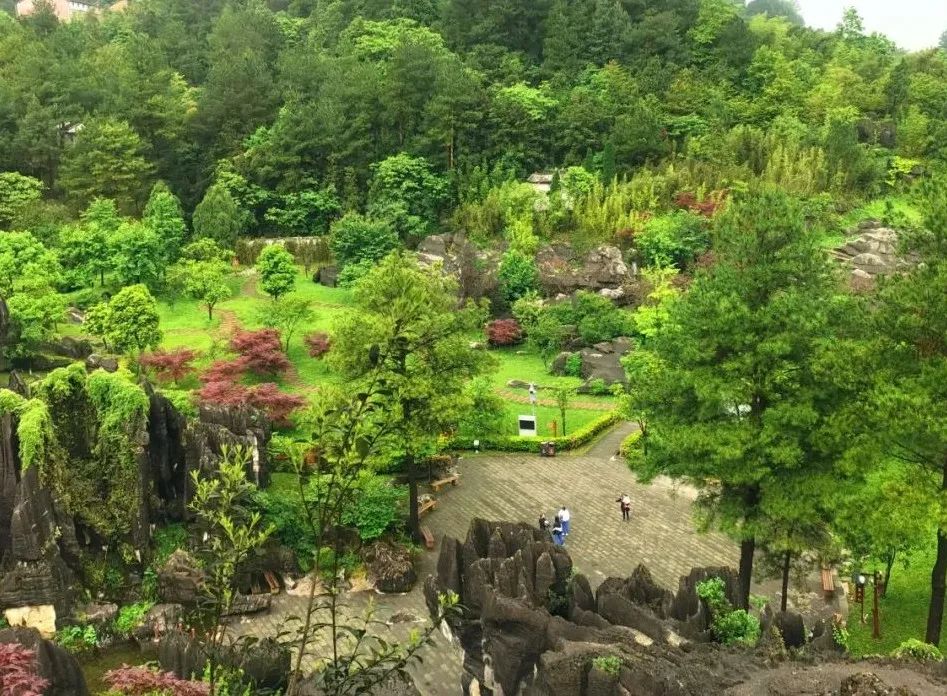 |旅游资源平平的万盛，却逆袭成为康养圣地！