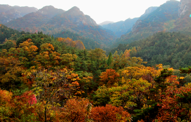 |山东有一小众景区走红，风景优美不输泰山，还被誉为“仙山之祖”
