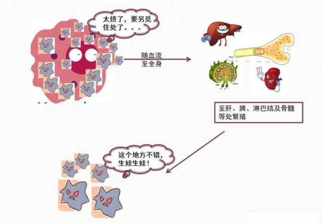 蜱虫与布鲁氏菌，别小看它的威力，被咬一下不是疼痒那么简单