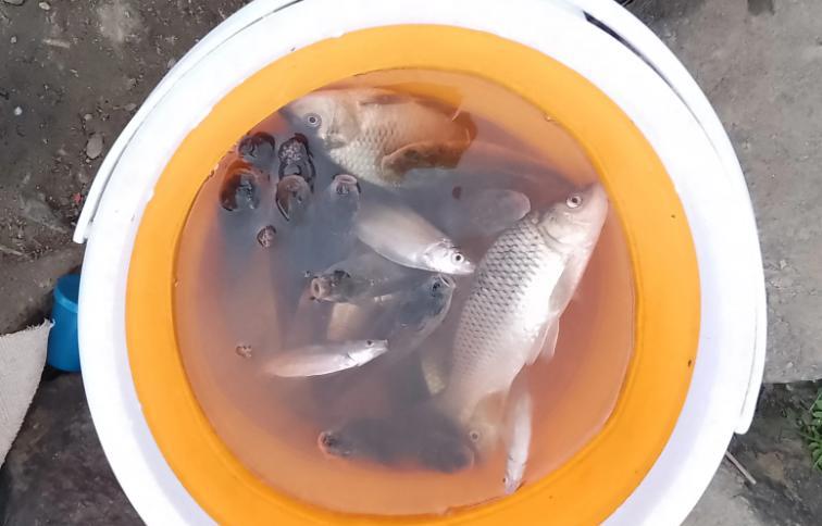 |老公下班后不回家，天天半夜去钓鱼，妻子：鱼吃反胃了，看到都烦