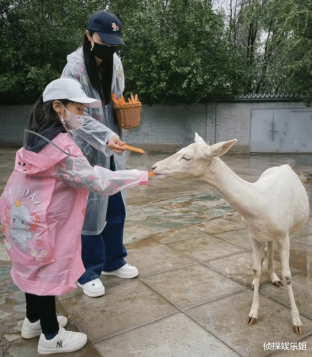 陈慧娴|董璇国庆带娃出游，母女穿亲子装超有爱，6岁酒窝遗传爸妈高颜值