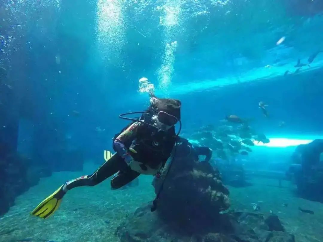 旅行|可见,从8年到无限可能∞