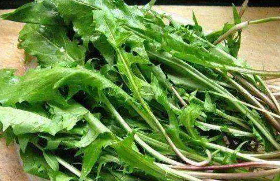 它是初春“抗炎菜”,还能保肝散结,调节免疫