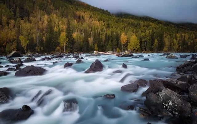 |喀纳斯的秋天刷爆朋友圈，简直令全国人民都羡慕坏了！