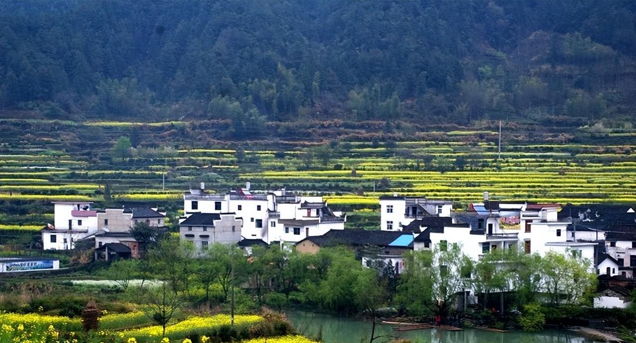 济南|衢州楼市,下滑1.5%,连跌三个月,未来的楼市走向如何?