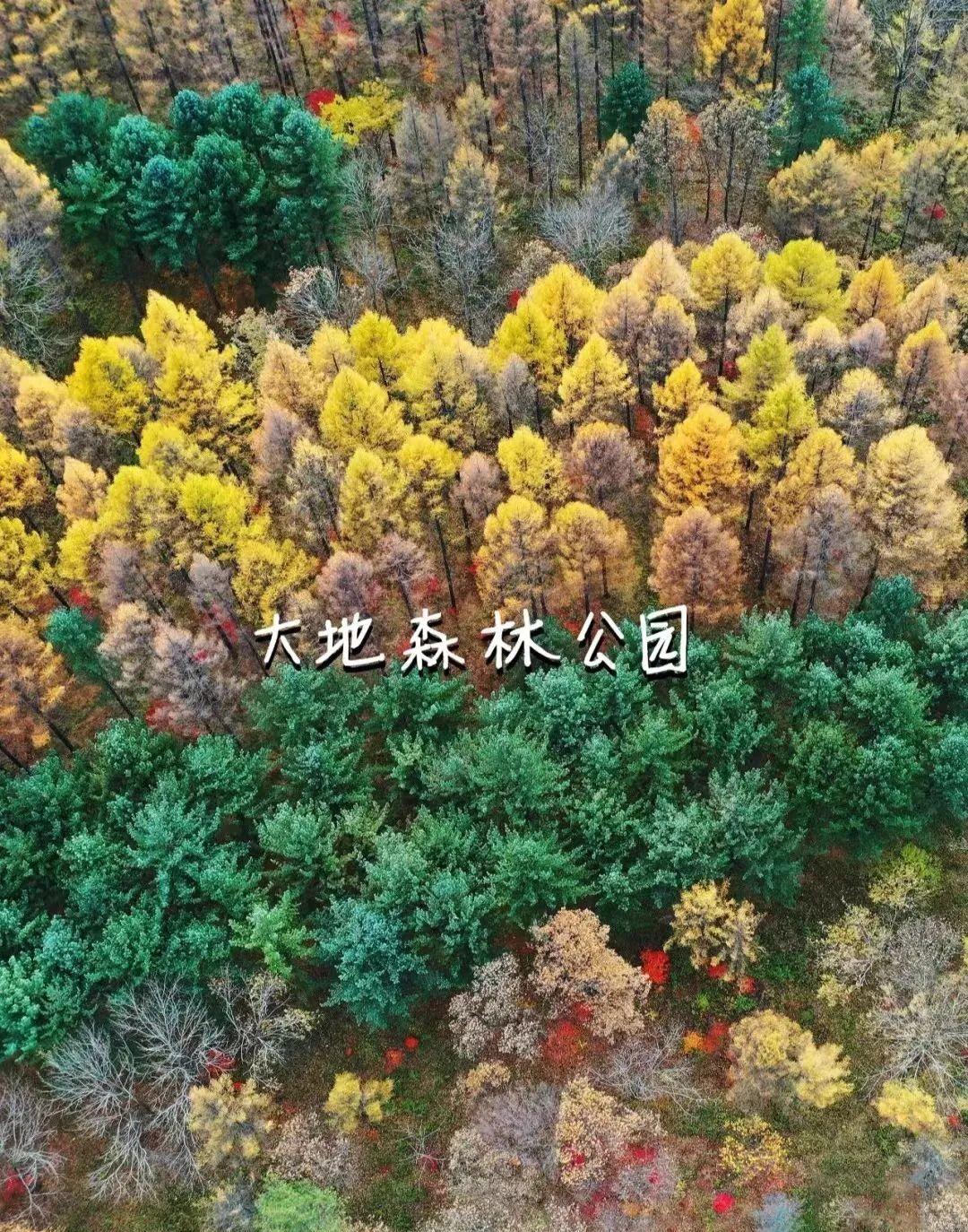 本溪|挖到秋色绝美东北小城,枫叶秒杀京都,还有复古火车和温泉