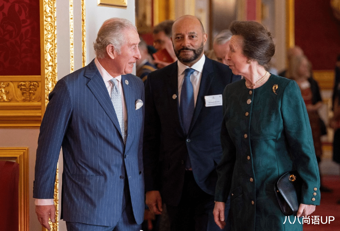 雍正王朝|查尔斯携带72岁妹妹现身，兄妹俩默契颁奖，二婚妻子卡米拉罕缺席