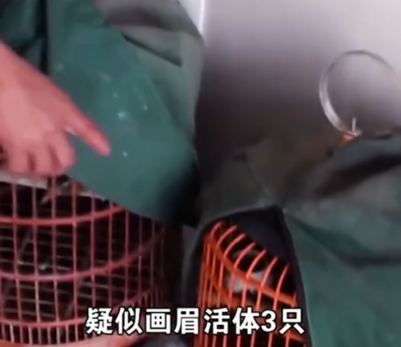 淋可可:靠悲惨身世走红,却为亲妈与妹妹反目成仇,网友:剧本!