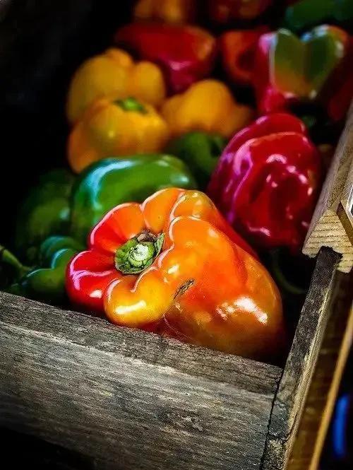 天明|田里农家沃野稻花香,牧笛一曲炊烟入画廊