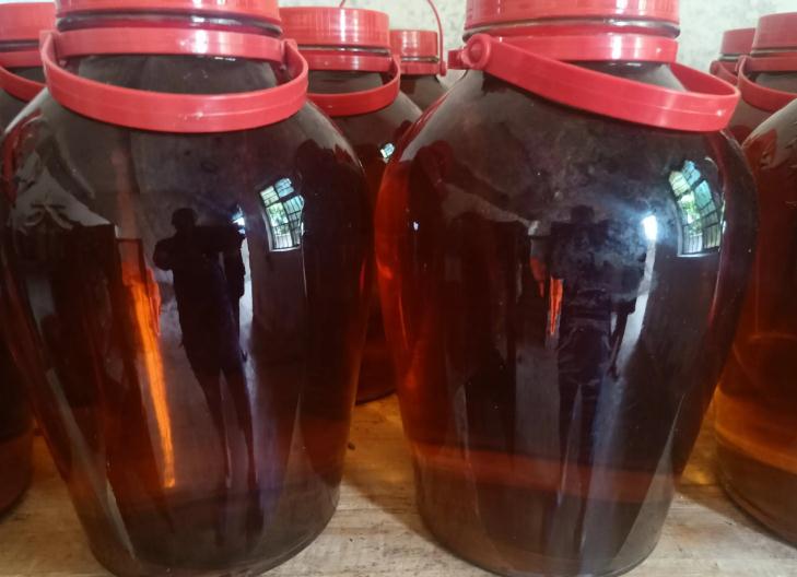 黑豆|入冬前吃它补肾最好,两种吃法各有所长!