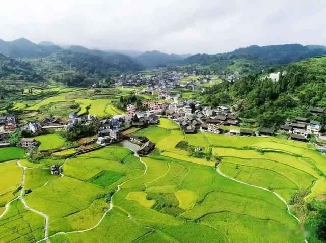 村集体土地征收,离异女子是否可以获得全额征地补偿款?法院判了!