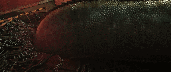 车晓|刚上映的《人蛇大战》,飙升榜第一,怕蛇者误入,满屏都是蛇