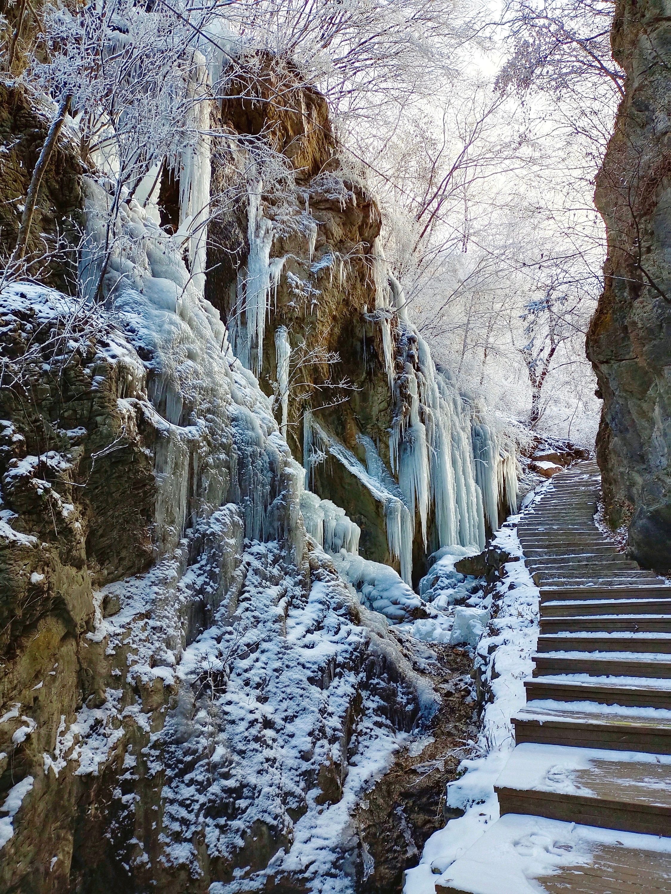 洛阳|河南旅游景区太给力了,免费两个月,来洛阳这个小众宝藏景区踩点