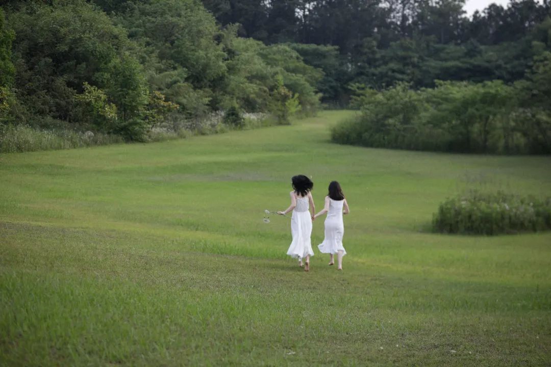 职场故事|告别职场焦虑，她逃到农场拍野花；3年拍了上千张，把爱好修成主业