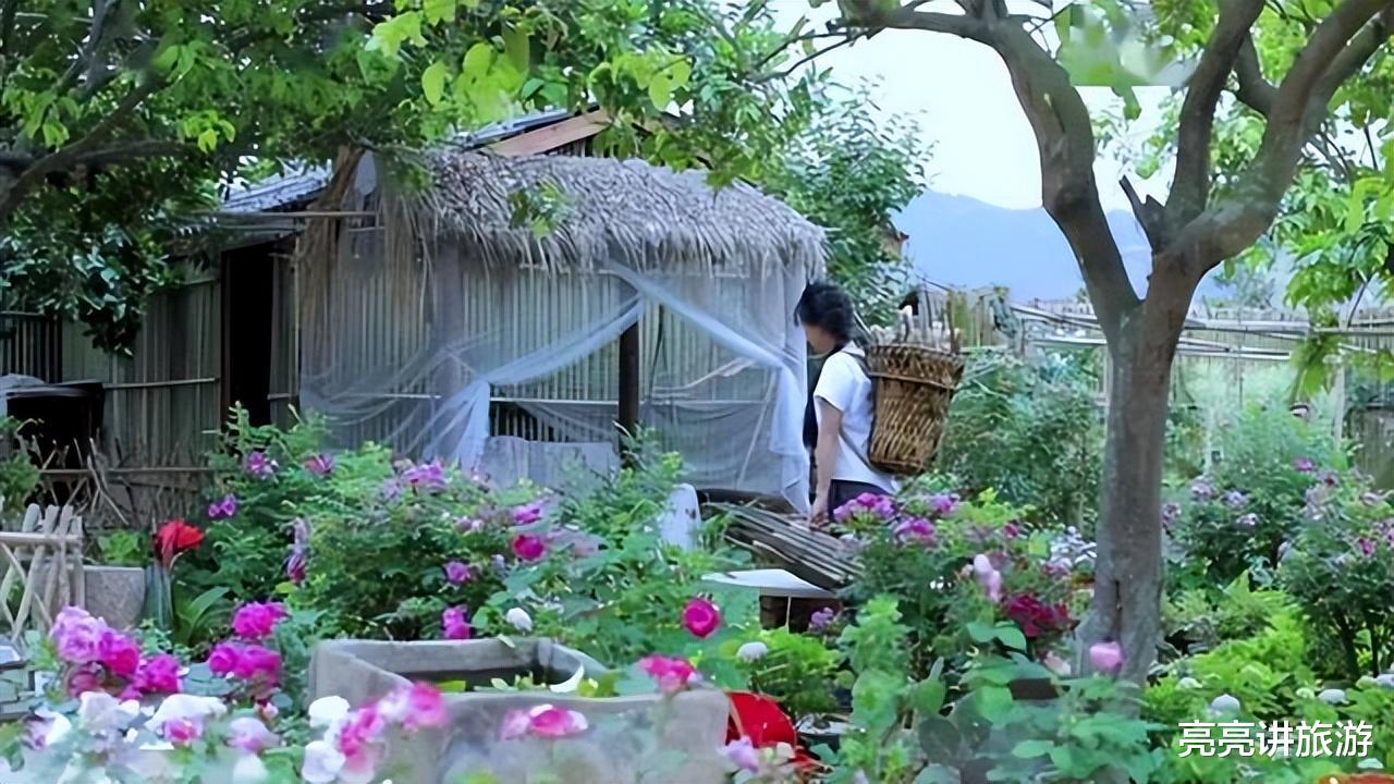 古镇|时隔一年,重看“李子柒”的庭院,才发现,那里仍是“世外桃源”
