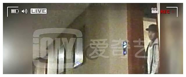 林志玲|杨幂粉丝又在骂刘恺威了,他是85花前任里最拉胯的吧?