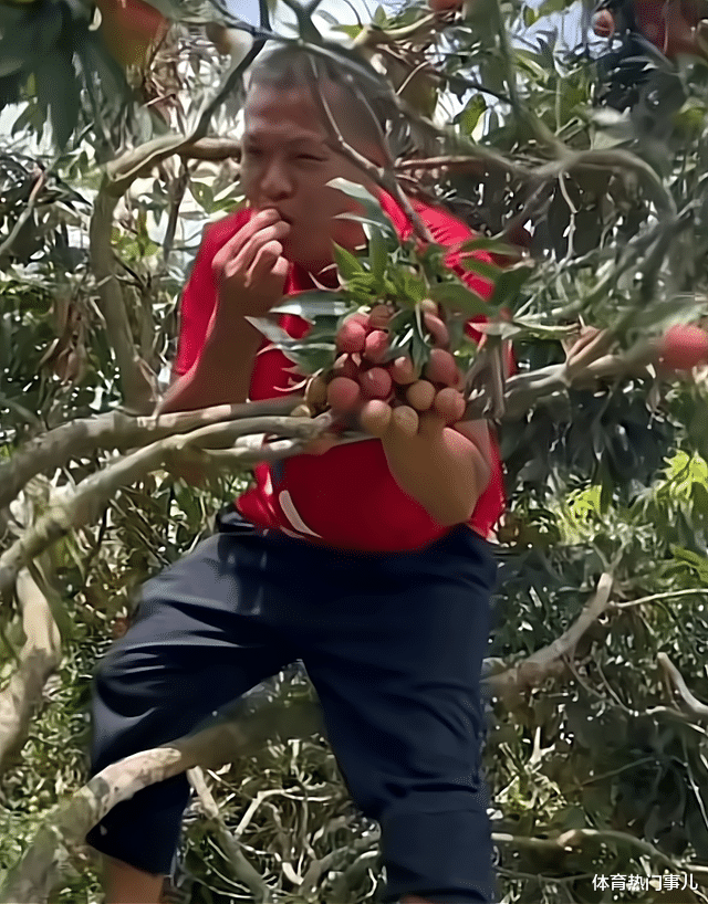 全红婵家富裕了!房子装修完成,妈妈翘二郎腿惬意,爸爸吃鸵鸟蛋