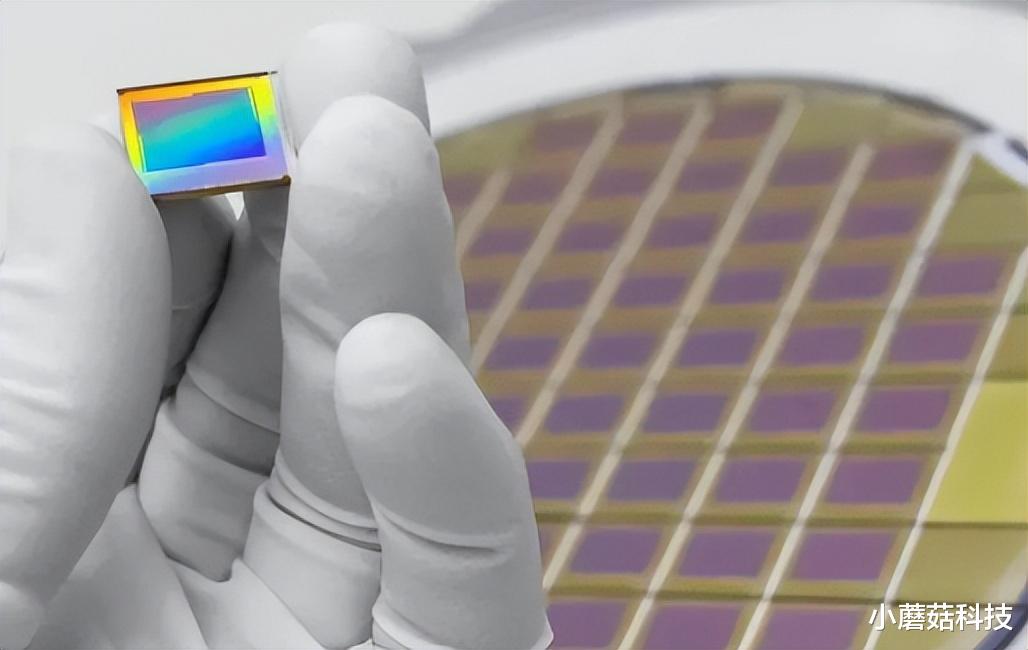 芯片|狂砸700亿!8家日本企业集体成立芯片公司:外媒:彻底摊牌了?