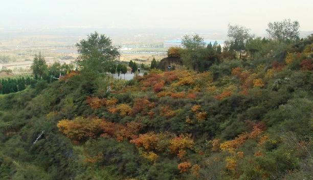 高峰|北飞云，南青峰！山西这一座山，海拔1400余米，景色优美，门票20