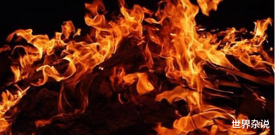 广东省|广东一男子因拆迁和村主任闹矛盾 自制“喷火器”向村委会喷火 致多人烧伤