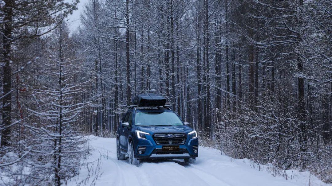 涨停|《雪国的森林》纪录片以外的故事:敖鲁古雅使鹿部落