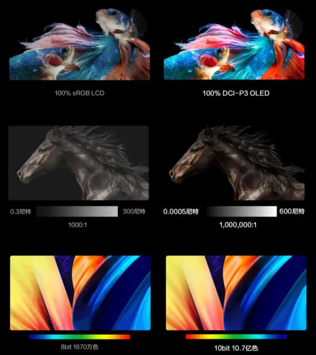 华硕|联想华硕新品PK,同为12代H45标压轻薄本,LCD和OLED你选谁?