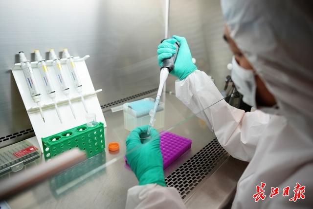 地大学者意外从斑鬣狗化石中发现古老虎DNA