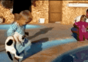 池昌旭|当全网都在喊话周杰伦转发的时候 他发了个图此时无声胜有声