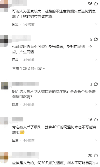 罕见!河南地表最高温74℃,南京树木自燃烧断根,为何如此反常?