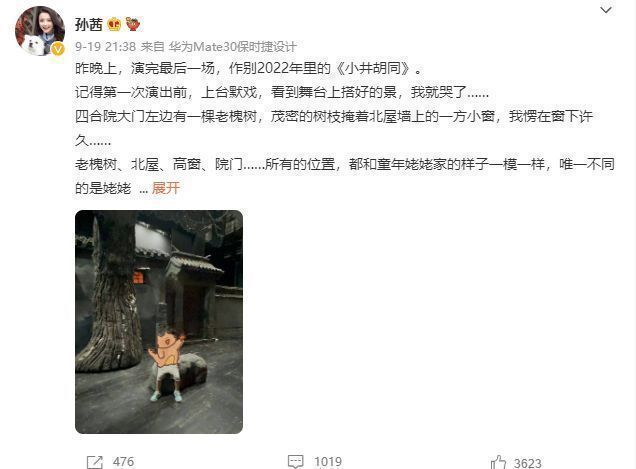 孙茜|演员孙茜疑遭老公家暴,孕哺乳期对其动手,晒受伤照片引热议