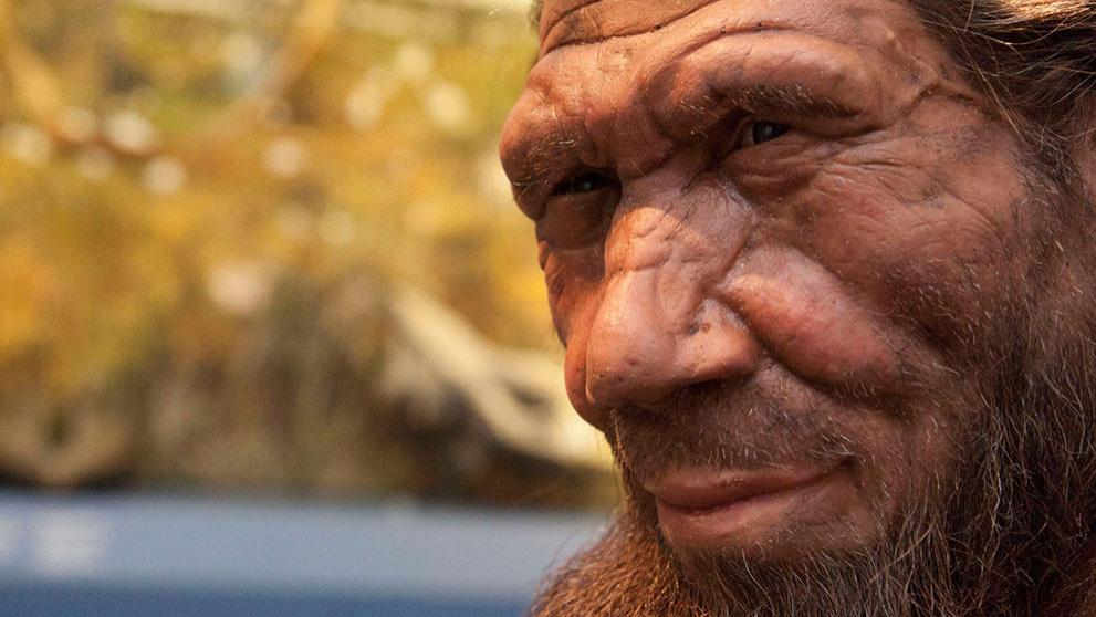 “纯种”结局都是毁灭，“杂种”才能继续生存