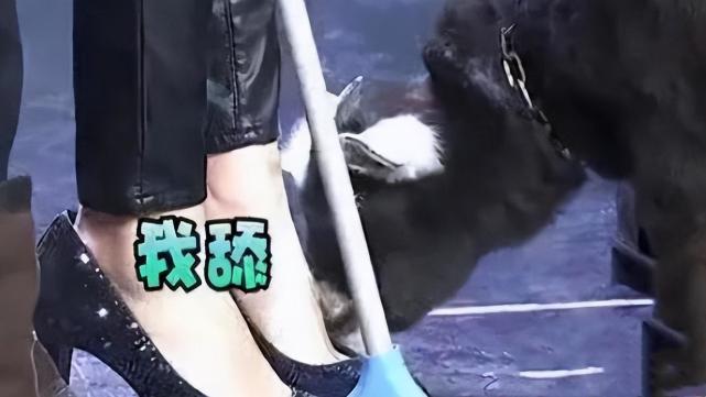 杨幂|男星立功减刑，供出著名女星组织“身体交易”，杨幂的嫌疑最大？