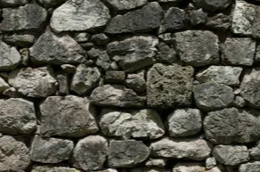 小米科技|直播的优势和发展趋势