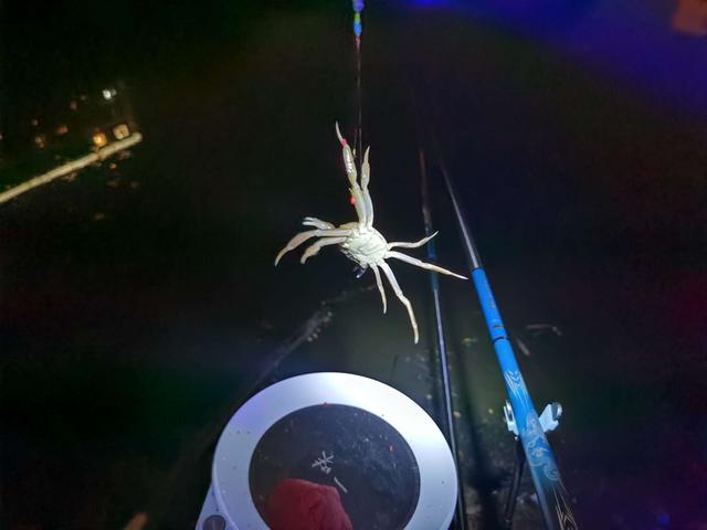 饵料|【作钓报告】回顾2022年度，期盼2023更好！