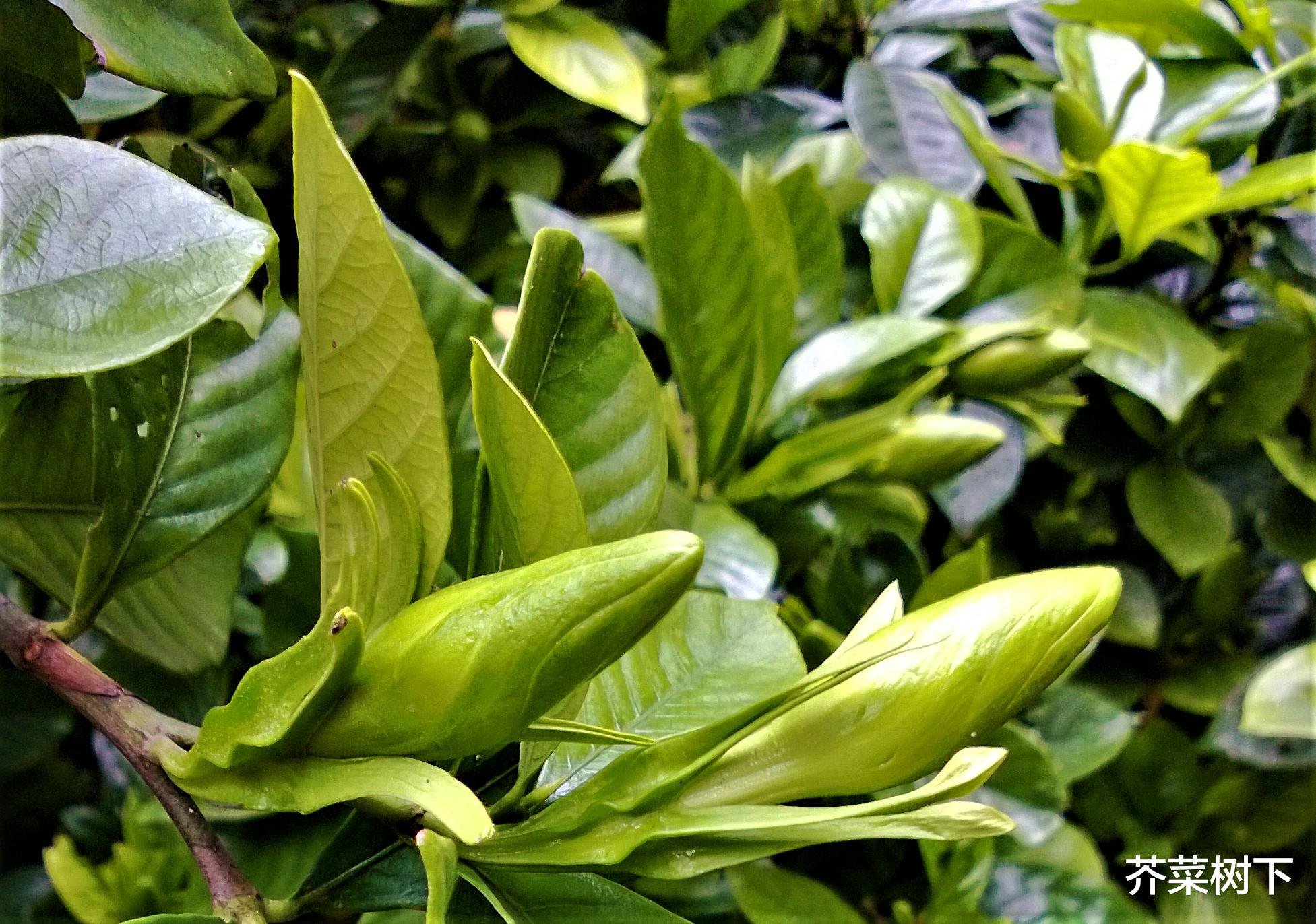 |职场上的疲倦感，从何而来