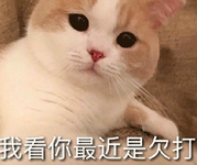 小三|她是要在黑红路上走到底吗？