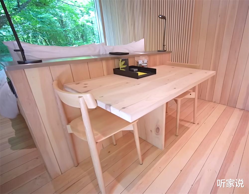 33岁老哥隐居森林中，亲手建起18㎡“隐形”蜗居，网友：太佩服了