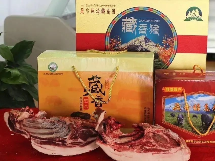 冰雪大世界|倒计时1天！2023黑水县旅游宣传营销推介会暨农特产品展销会即将亮相成都宽窄巷子！